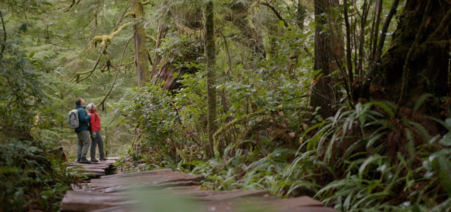 Hiking Sales Shop -Hiking Sales Shop 1120