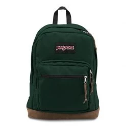 JanSport Daypacks Right Pack Backpack